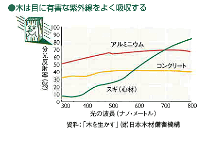 木は目に有害な紫外線をよく吸収する